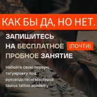 Наталья Анисимова, изображение к комментарию.